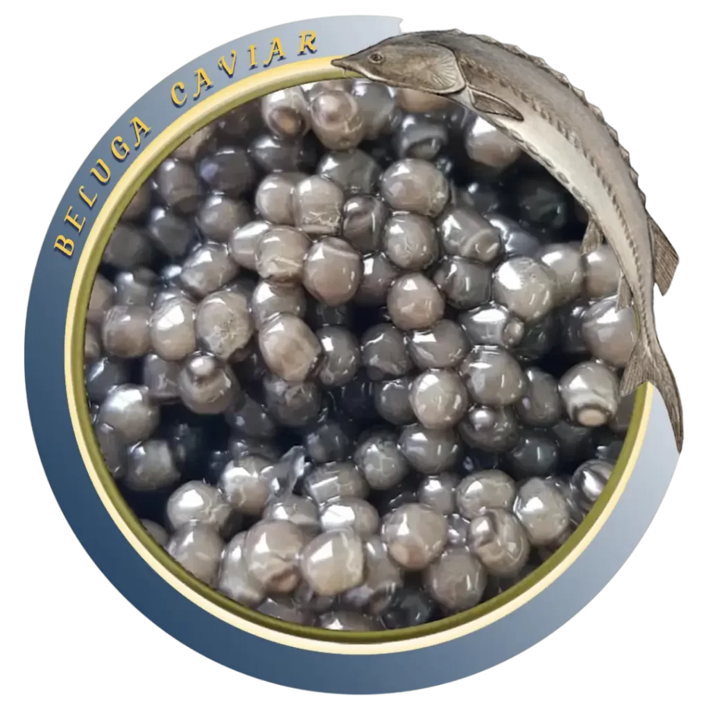Beluga Caviar