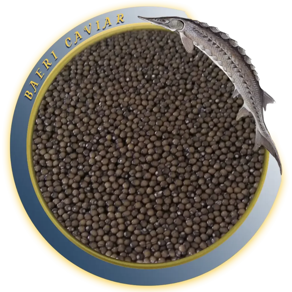 Baeri Caviar