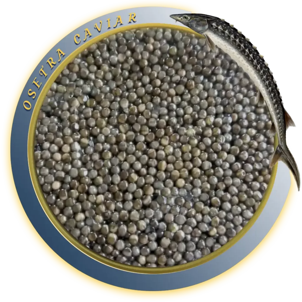 Osetra Caviar