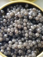 bluga-caviar-iranian