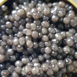 bluga-caviar-iranian