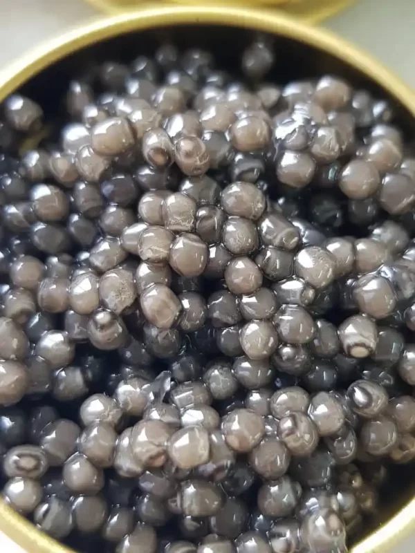 bluga-caviar-iranian