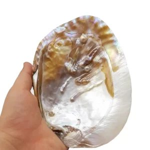 Mother of Pearl Spoons