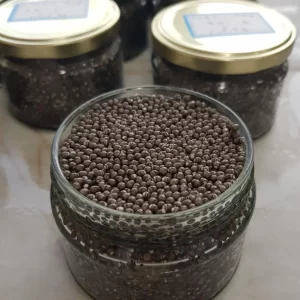 beluga-caviar-shahcaviar