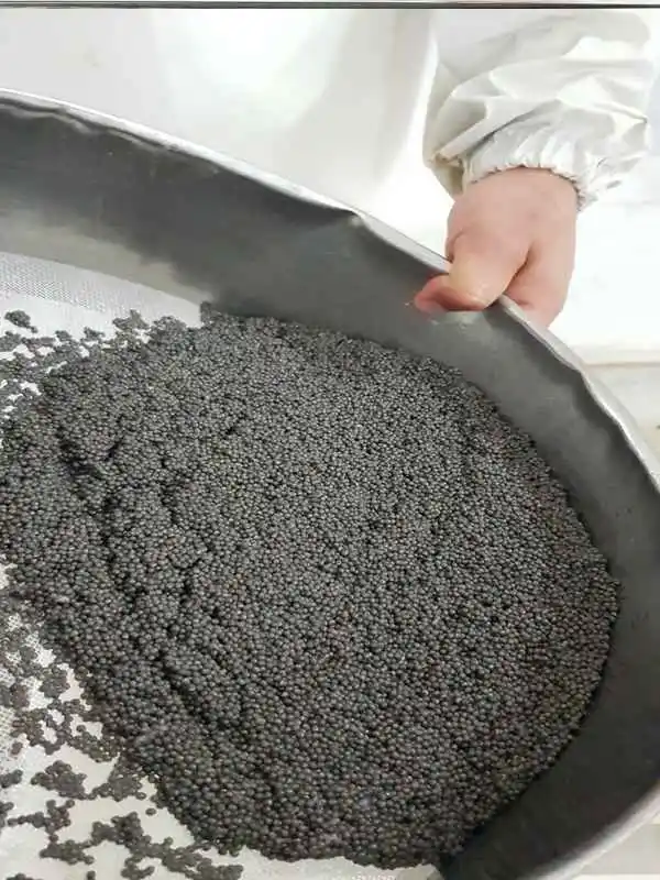 Beluga caviar processing-3