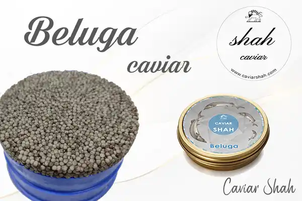 beluga caviar 120g