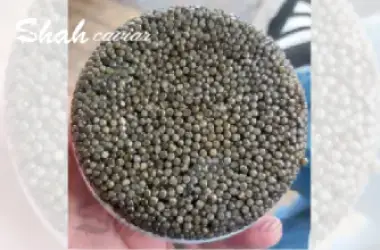 What Is Osetra Caviar