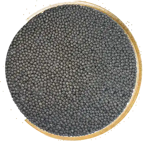 beluga caviar