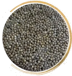 front-osetra caviar