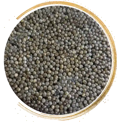 front-osetra caviar