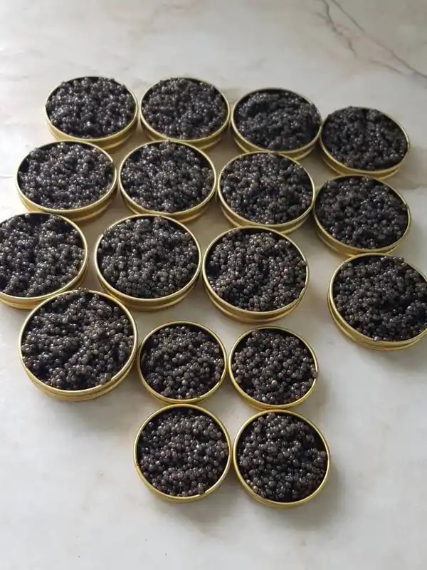 iranian beluga caviar for health