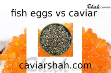 Sea Fish Eggs vs. Caviar